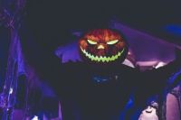 Halloween decorations  
