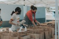 Volunteer  food bags,food boxes,food delivery