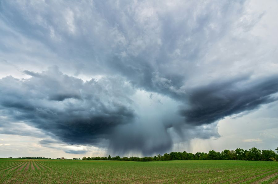 storm warning There were many short lived pop-up thunderstorms on this day. This one produced a microburst which I was lucky enough to catch on camera.  