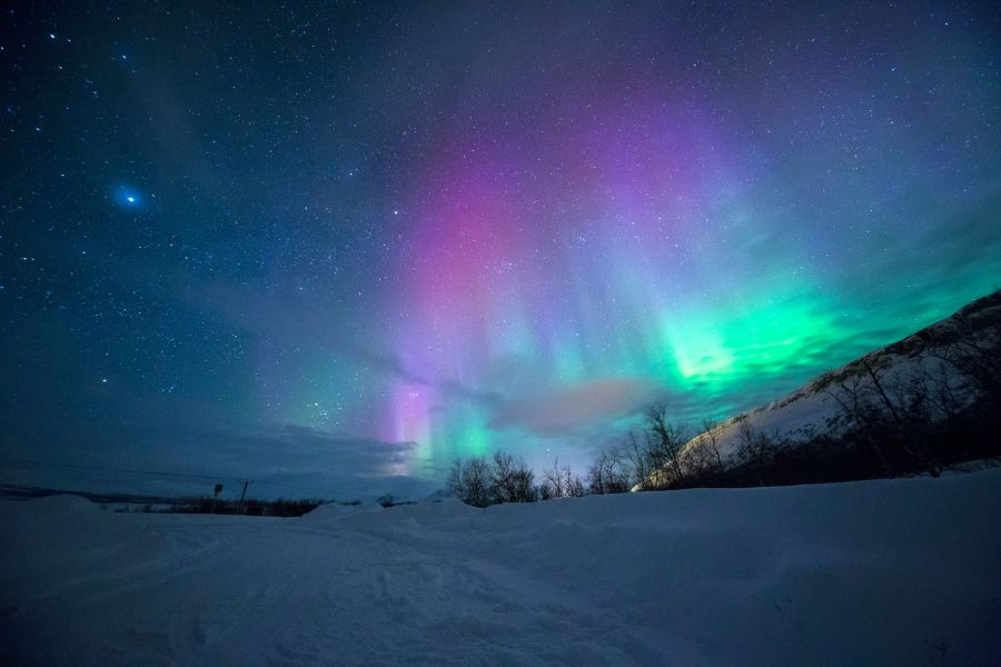 Northern Lights Amazing light display from Mother Nature, very humbled and in awe to capture a multi-hued color Aurora at Tromso, Norway. aurora,night,star