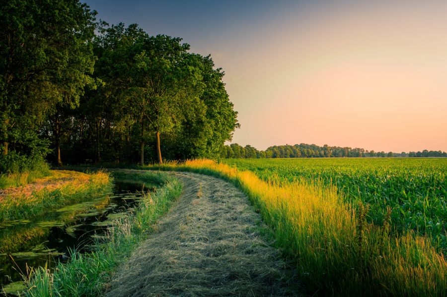 Riverside  outdoors,nature,grassland