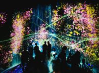Flower show Shot in the teamLab Borderless light museum during a projection of a waterfall and neon colors in Tokyo, Japan. japan,tokyo,koto city