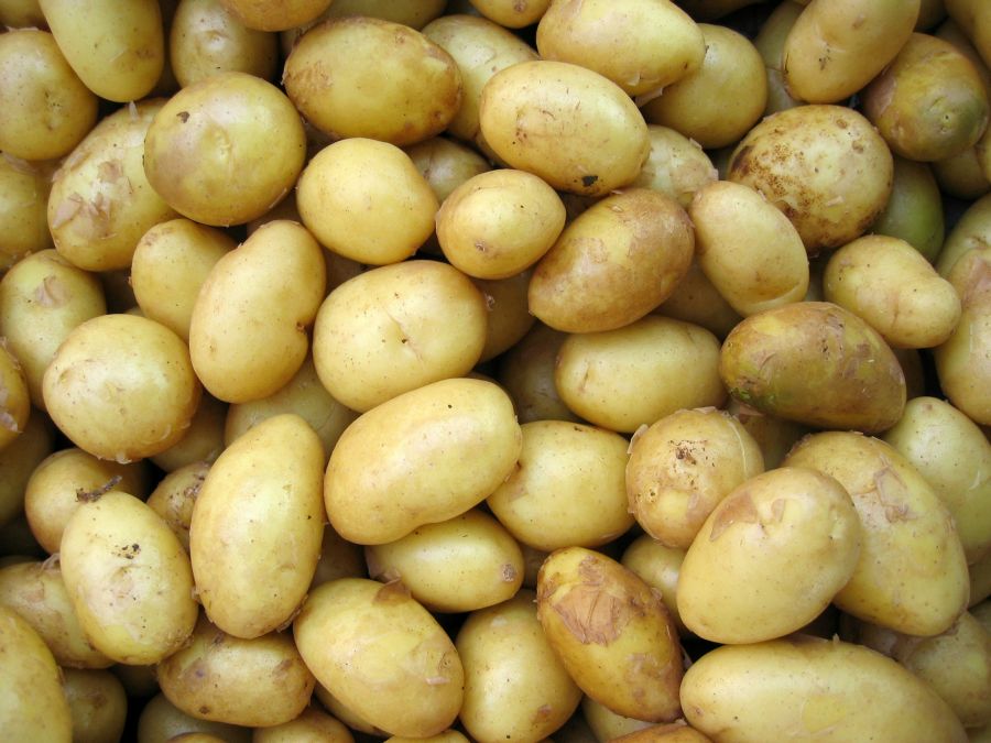Potatoes potatoes