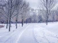 Cold weather  canada,ontario,snow