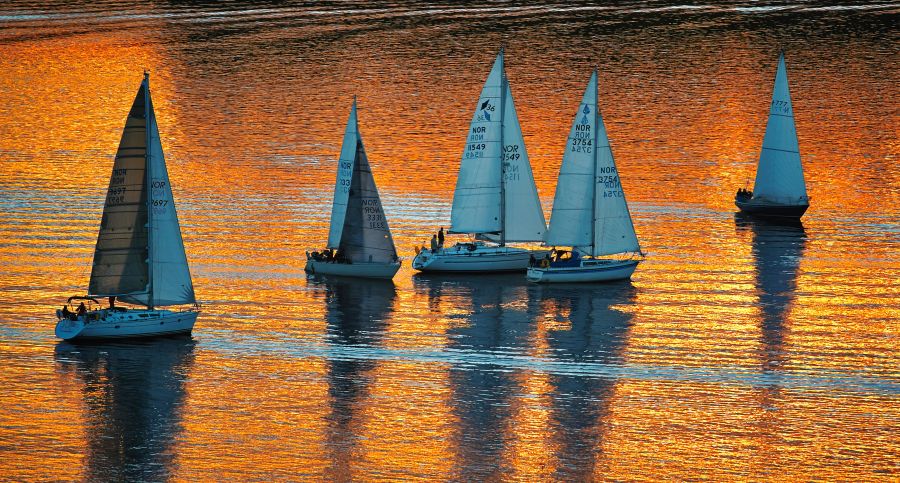 boats  