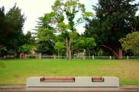 Park Chairs close to the shore of river Rhine, Koblenz, Germany, July 2019 