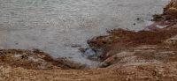 heat island This image captures a close-up view of a geothermal area with steaming hot water bubbling through the earth's surface, surrounded by textured soil and minerals. island,þingeyjarsveit,water