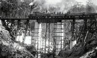 Industrial history Boggy Creek bridge, Bairnsdale-Orbost line, circa 1914. industrial,exploring,expedition