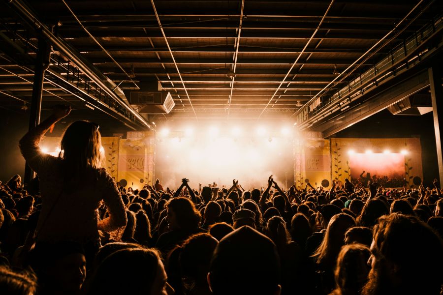 Culture events Festival Vibe 