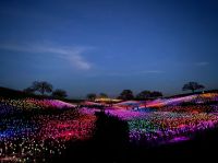 Light Festival Paso Robles paso robles,united states,4380 ca-46 w