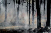 wildfire Smoke and glowing embers dominate the forest as wildland firefighters battle the last of the flames of the Harding Fire in north east Saskatchewan grey,fire,current events