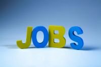 journalism job Wooden letters forming the word Jobs on a white background. Job concept. 