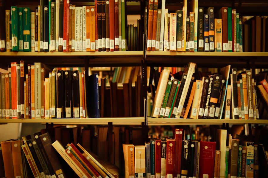 Library bedbugs  