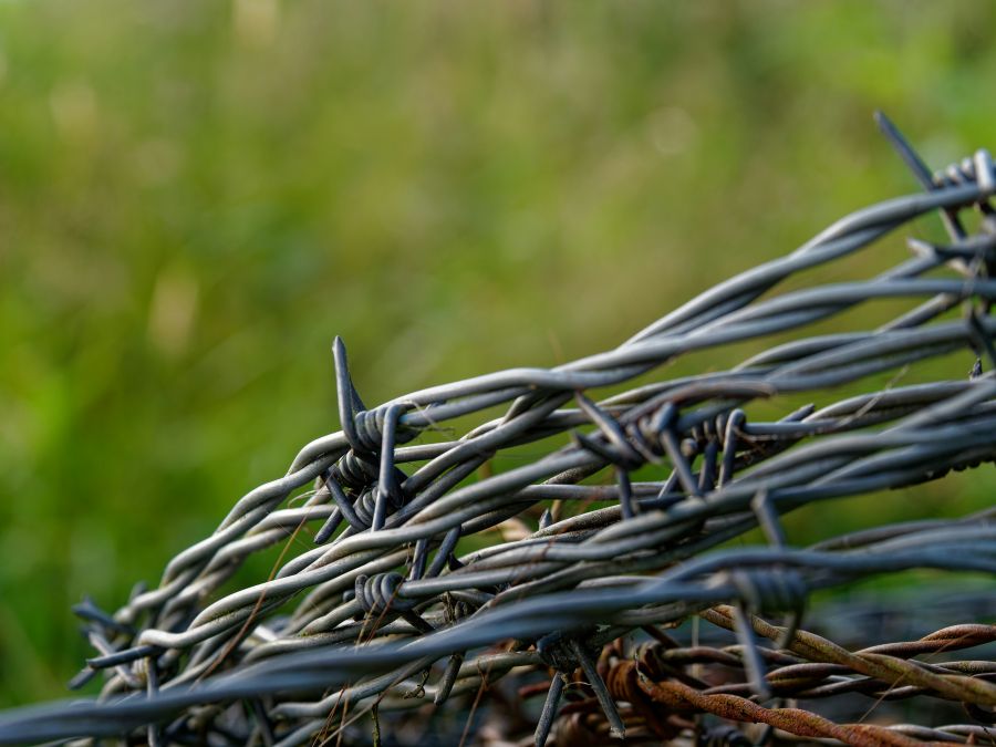 Enquête sécurité  wire,barbed wire,hair