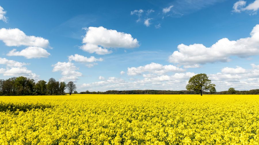 Ol  geesthacht,deutschland,wolkenhimmel