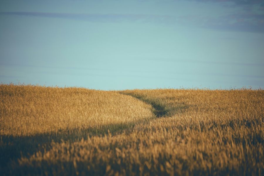 Environmental conservation  field,landscape,agriculture