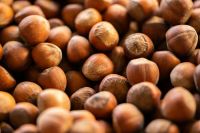 hazelnut fresh hazelnuts in the market 