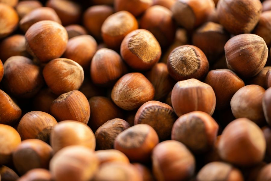hazelnut fresh hazelnuts in the market
