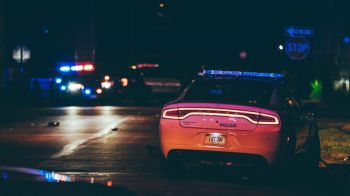 Crime Investigation