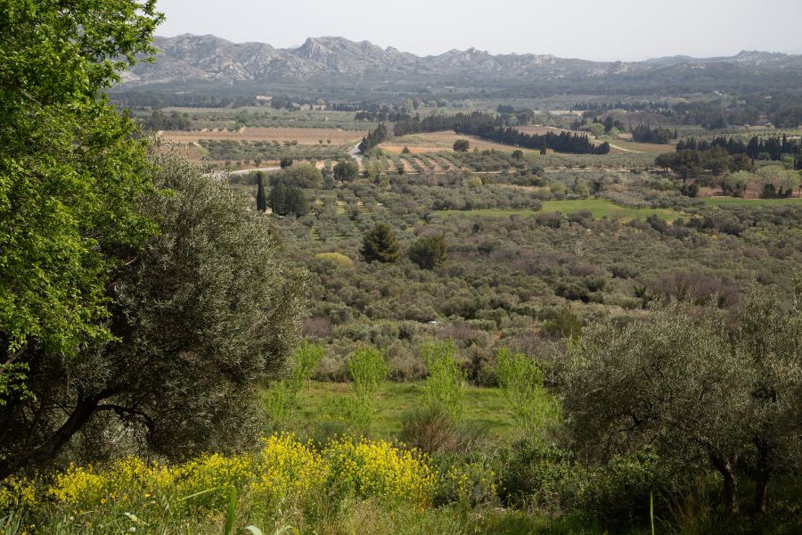 Alpilles