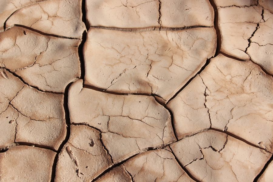 Drought Dryness Cracks in the Earth 