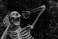 Skeleton 2020 be like. halloween,skeleton,skull