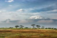 Kenya Olympics View of Kilimanjaro from Amboseli National Park, Kenya. sky,clouds,field