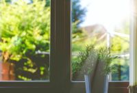 Sunny  window sill,indoor,flare