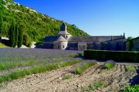 Provence extremist French Chataux set in beautiful Lavender fields in Provence france,provence,gravel