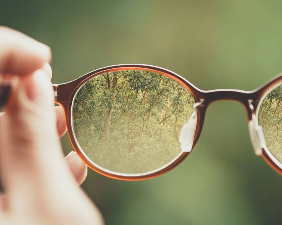 transparency My Nature View! 
PayPal me on: https://www.paypal.com/donate?hosted_button_id=CVWLB468MAMZE glasses,website,oculos