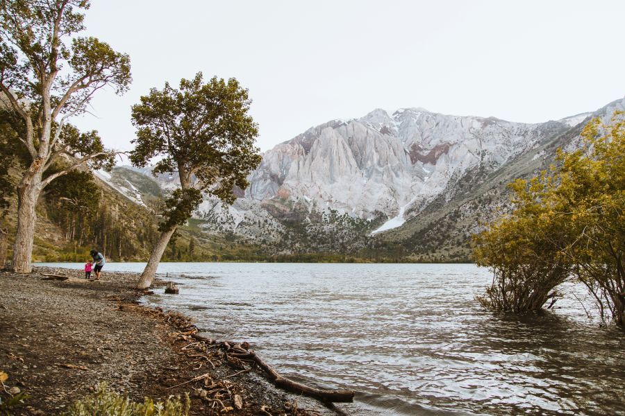 Convicted At Convict Lake trees,forest,Nature