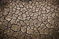heatwave climate Deep cracks in a lake bed after an arid period 