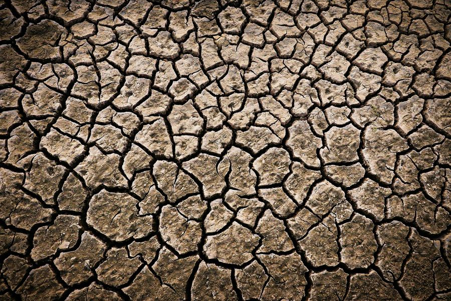 heatwave climate Deep cracks in a lake bed after an arid period 