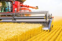 Agrofood industry  