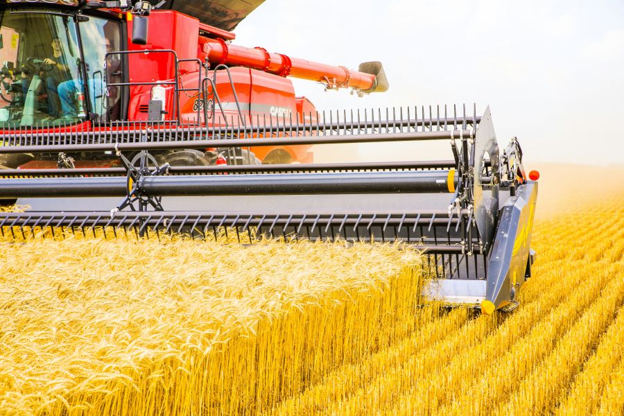 Agrofood industry  