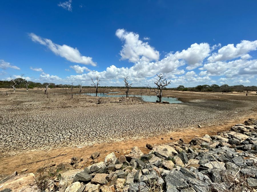 Water scarcity Dried up lake 