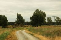 country landscape  