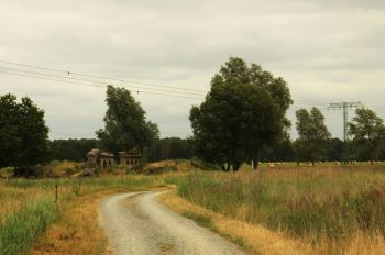 country landscape
