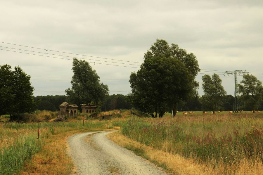 country landscape  