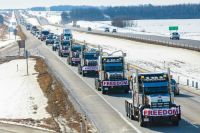 convoy FREEDOM convoy taken in Central Alberta, Queen Elizabeth Highway 2 on the way to the Legislature Building in Edmonton. This demonstration was in support of the FREEDOM, Anti-mandate Protest, with Truckers demonstrating in Ottawa, Ontario, Canada. Taken by Naomi McKinney, McKinney Psychology. Please link back to my webpage should you use this photo. mckinneypsych.com 