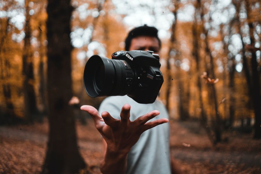 Photography The Force forest,tree,lens