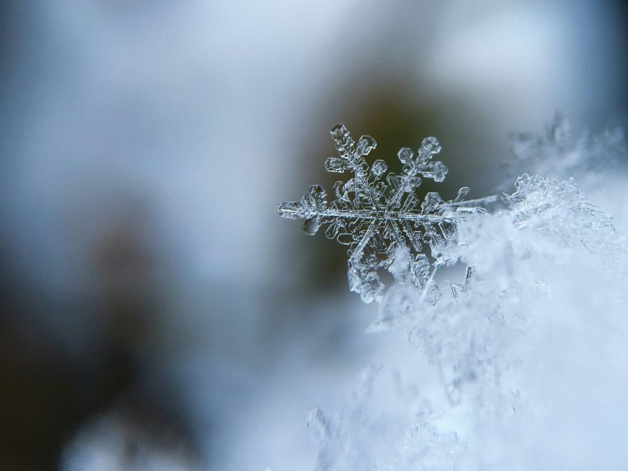 snow Snowflake macro 