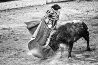 Bullfighting  bull,grey,rodeo