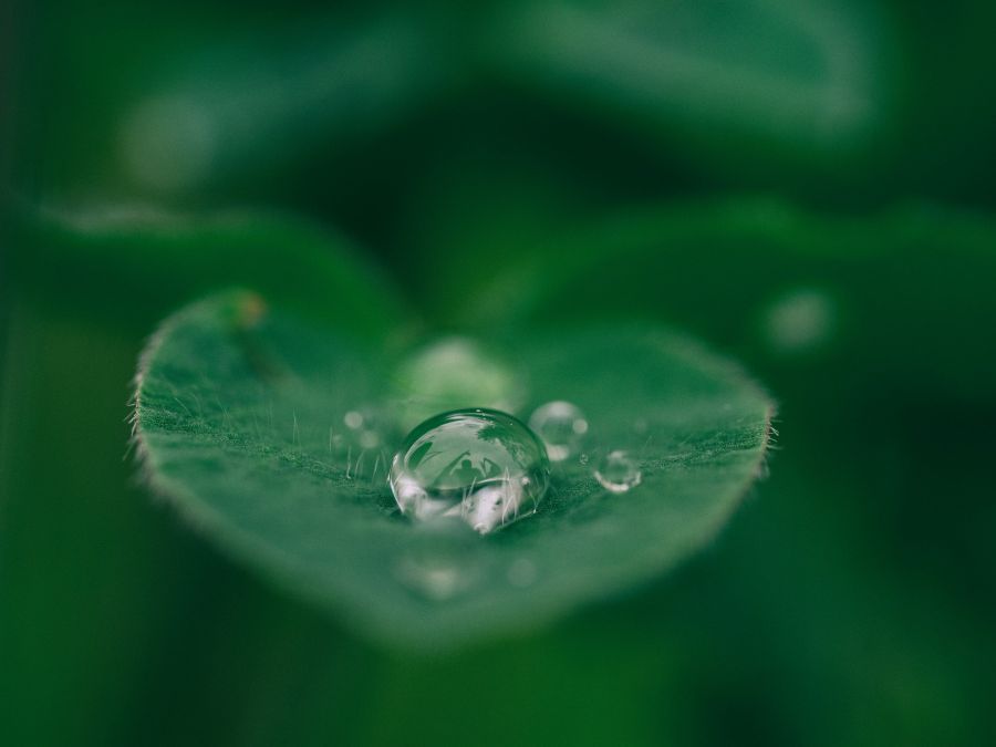 nature Pooling Water 