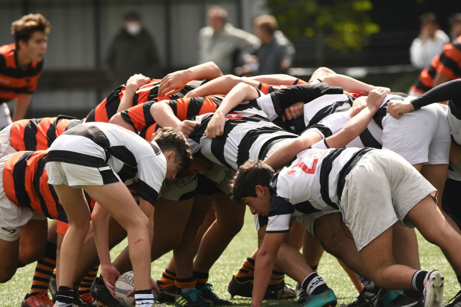 Rugby players  rugby,rugby players,ruck