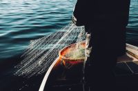 Fishing nets  