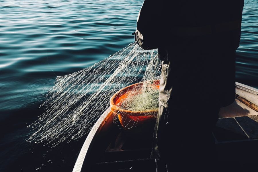 Fishing nets  