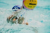 Water polo  sport,pool,swimming