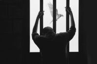 prison A Man in Prison and Bird Flying Freely 