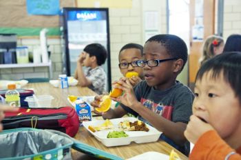 student meal This image depicts a group of school children, who were seated in the lunchroom of a metropolitan Atlanta, Georgia primary school taking their daily lunch break, during their school day activities. Having purchased his lunch at the school’s cafeteria (see PHIL 18500 through 18515), this young African-American boy was photographed as he was eating a freshly peeled, sectioned orange from his luncheon plate, which also included a fresh lettuce and tomato salad, steamed broccoli, ground beef chili w 
